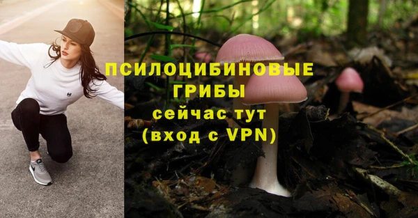 спиды Балабаново